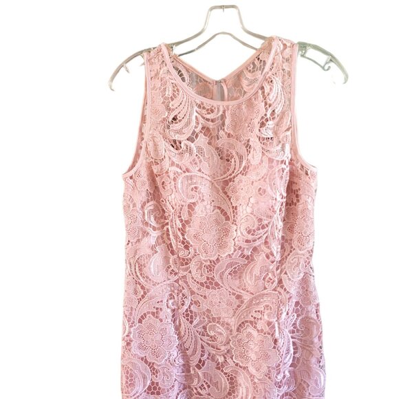 Adrianna Papell Pink Lace Sheath Dress - Picture 2 of 4